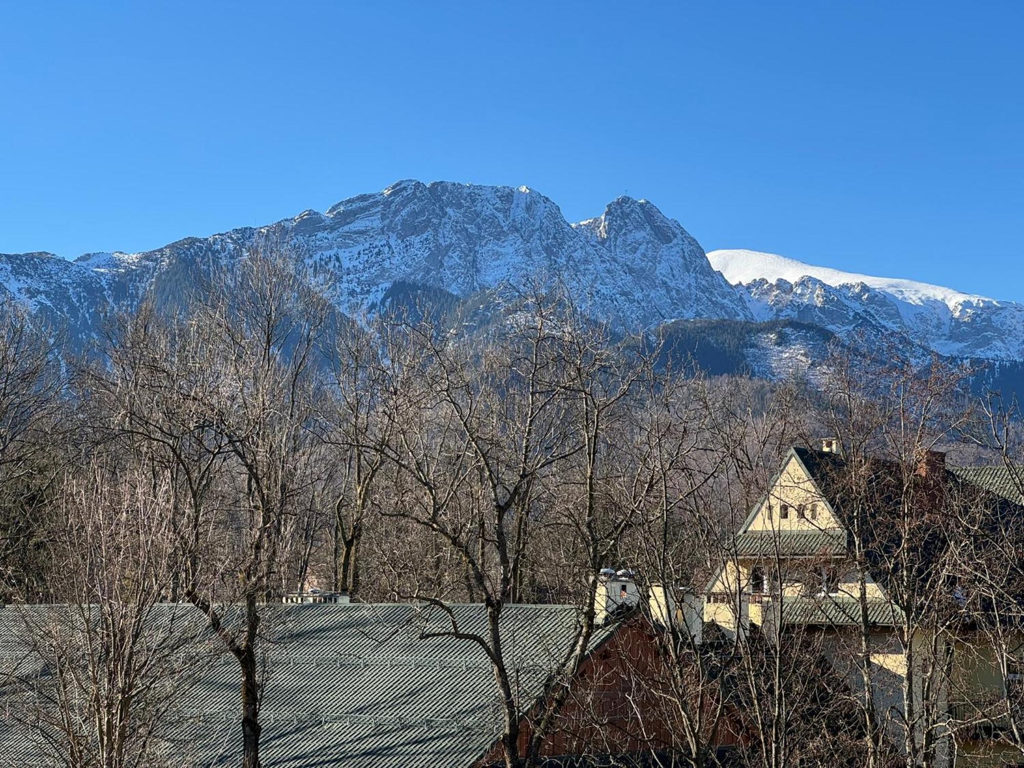 Dafne Zakopane Bed & Breakfast ภายนอก รูปภาพ