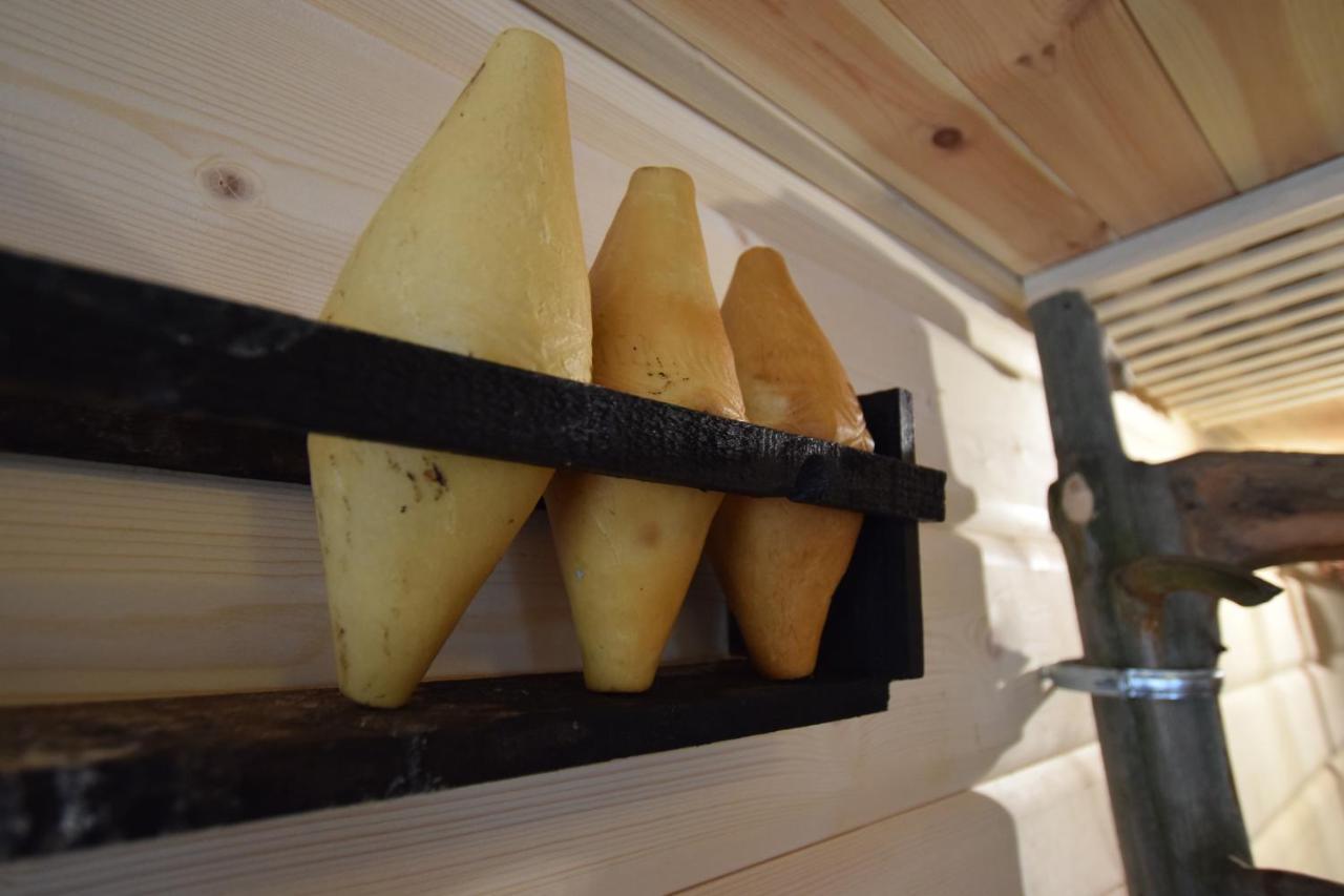 Dafne Zakopane Bed & Breakfast ภายนอก รูปภาพ